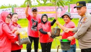 Di Tegal Peringatan HUT ke-50 PDI Perjuangan Diisi Giat Tanam Pohon yang Dihadiri Jajaran DPD Jateng dan PAC Kecamatan Margasari
