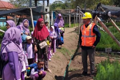 Perum Perhutani KPH Pekalongan Bekali 60 Pelajar Taman Kanak Kanak Bumiayu Brebes