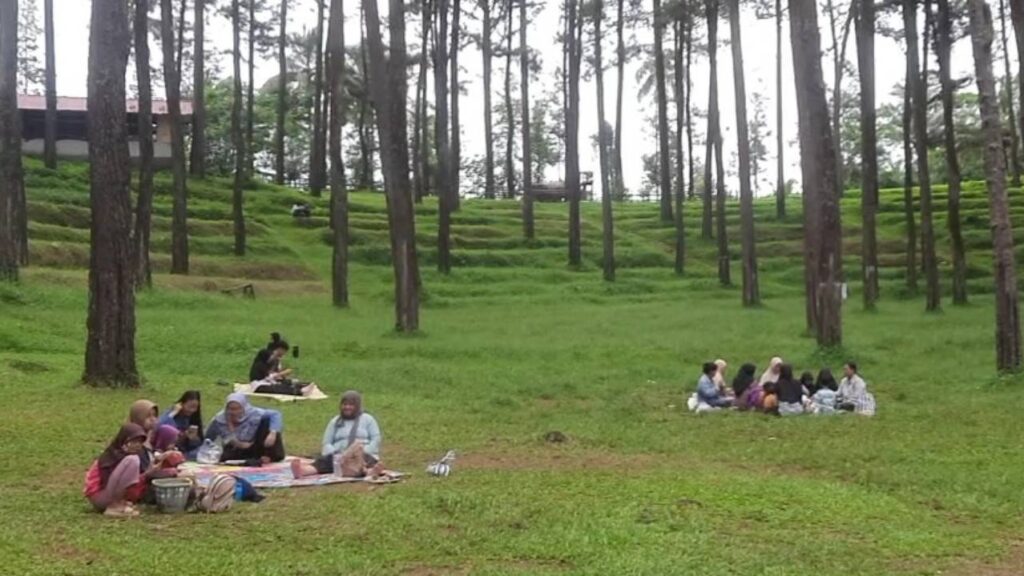 Liburan Seru Tak Harus Jauh, 6 Wisata Brebes Selatan Ini Cocok untuk Semua Kalangan