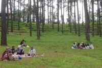 Suasana sejuk membuat pengunjung Wana Wisata Tuk Sirah Pemali betah berlama-lama di wisata ini. (Portal Pantura/Yudhi Prasetyo)