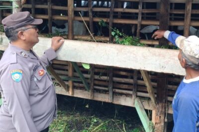 Kapolsek Tegal Barat Imbau Para Peternak Waspada Penyakit Mulut dan Kuku