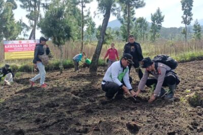Perhutani KPH Pekalongan Barat Intens Pangawasan dan Pemeliharaan Hutan Lindung Tanggeman Sawangan Desa Sigedong Tegal