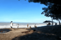 Pantai Randusanga Brebes. Foto: Tangkapan layar YouTube @SOBDES.