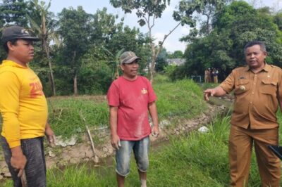 Kades Mulyoharjo Tegal Abdul Basir Merasa Lega Harapan Petani Kembali Tumbuh