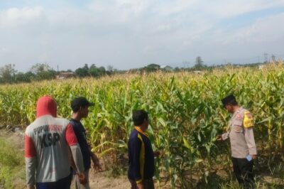 Dampingi Kelompok Tani, Polres Tegal Perkuat Ketahanan Pangan