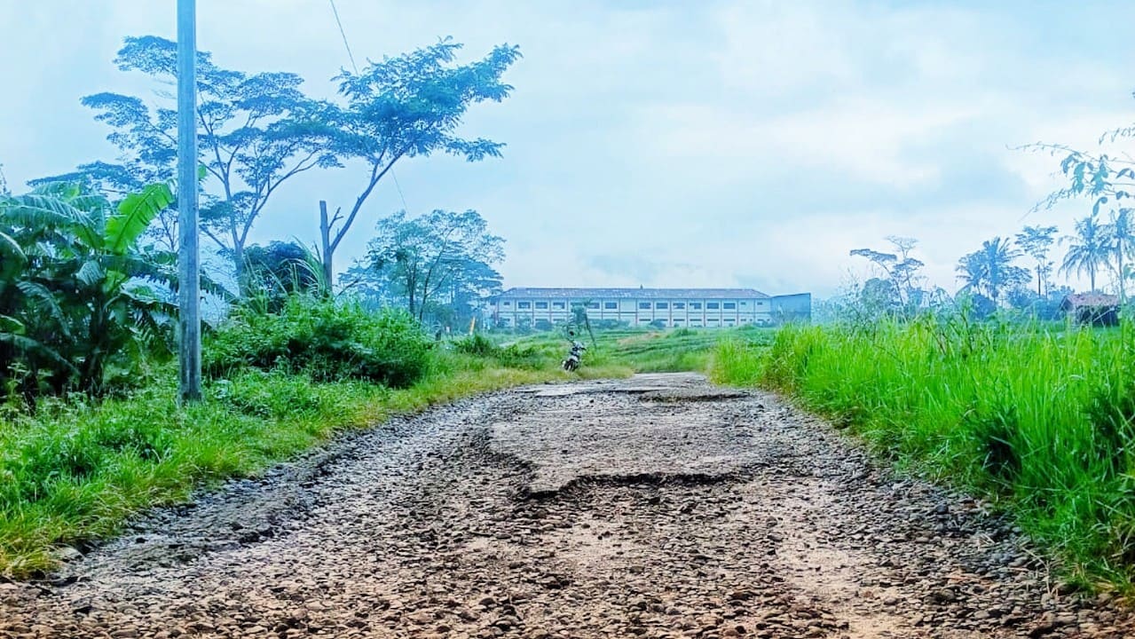 Kondisi ruas jalan poros Taraban-Pagojengan dalam kondisi rusak parah. Foto: Portal Pantura/Andi Yasir.