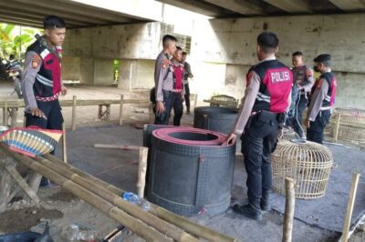 Penggerebekan Judi Sabung Ayam di Bawah Tol Pejagan, Pelaku Kabur Tinggalkan Barang Bukti
