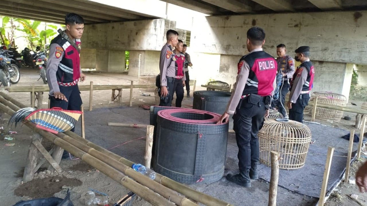 Sejumlah anggota Satuan Samapta Polres Brebes tengah memeriksa arena sabung ayam ilegal yang berada di bawah jembatan Tol Pejagan KM 247, Desa Limbangan, Kecamatan Kersana, Kabupaten Brebes, Selasa 29 Juli 2025. Dalam penggerebekan ini, petugas menemukan berbagai barang bukti seperti kurungan ayam, geber, dan perlengkapan sabung lainnya. Lokasi terlihat sepi setelah para pelaku kabur saat polisi tiba di tempat kejadian. Foto: Portal Pantura/Yudhi Prasetyo.