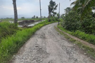 Jalan Poros Negarayu-Purwodadi Rusak Parah, Warga: “Seperti Sungai Saat Hujan”