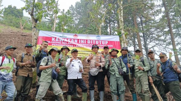 Perhutani KPH Pekalongan Barat Susuri Petak 24 Kretek dan Menjaga Hutan dari Ancaman Gukamhut