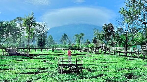 6 Destinasi Wisata Alam Jawa Tengah untuk Liburan Tahun Baru 2026