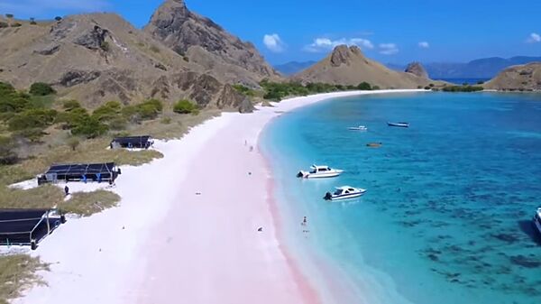 Panduan Lengkap Liburan ke Labuan Bajo: Surga Tersembunyi di Indonesia Timur, Cocok untuk Isi Libur Nataru