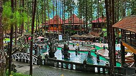 Salah satu sudut Guci Forest Trgal. (Foto: Instagram @guciforest_)