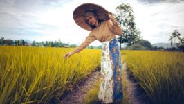 Ilustrasi padi (Foto: Ihsan Adityawarman/pexels)