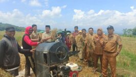 Tim kecamatan Tonjong melakukan monitoring hasil panen padi milik BUMDes Negarayu, Desa Negarayu, Kabupaten Brebes. Kegiatan pengawasan ini dilakukan untuk memastikan produktivitas pertanian BUMDes berjalan optimal dan memberikan kontribusi bagi Pendapatan Asli Desa (PADes). (Foto: Ist)