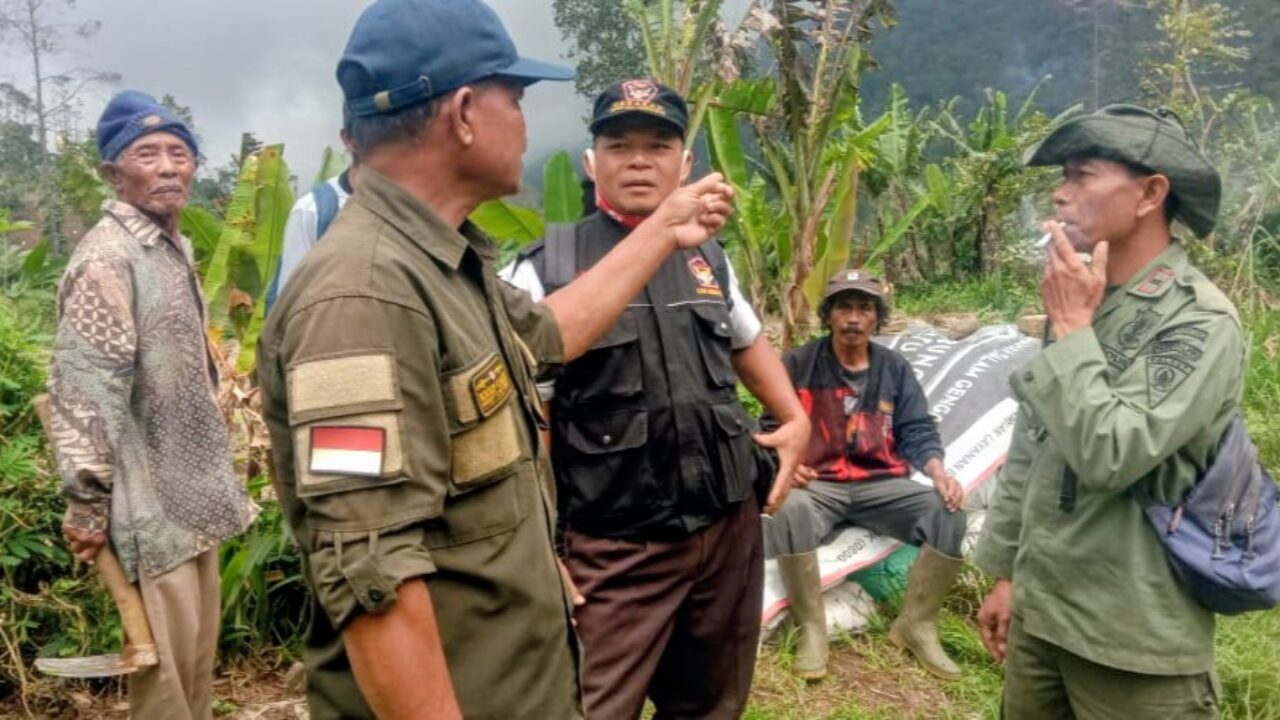 Gerakan Swadaya Warga Pandansari Tanam 1.000 Pinus dan Kopi di Kawasan Perhutani Paguyangan