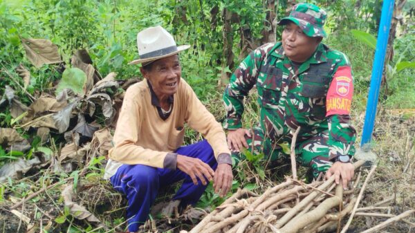 Program TMMD 127 Kodim 0713/Brebes Percepat Akses Ekonomi Warga Cikuya