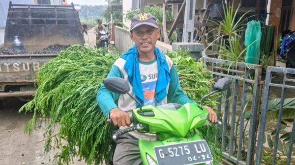 Akses Jalan TMMD di Cikuya Dorong Produktivitas Peternak dan Percepat Mobilitas Warga