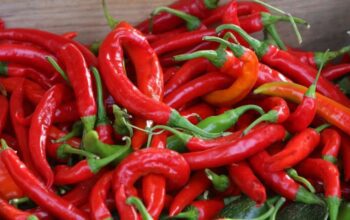 Cabai Rawit Merah Tembus Rp75.150 per Kg