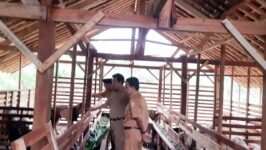 Tim Kecamatan Tonjong tinjau kandang kambing milik BUMDes Karya Mandiri Rajawetan. (Foto: Portal Pantura/Y Prasetyo)