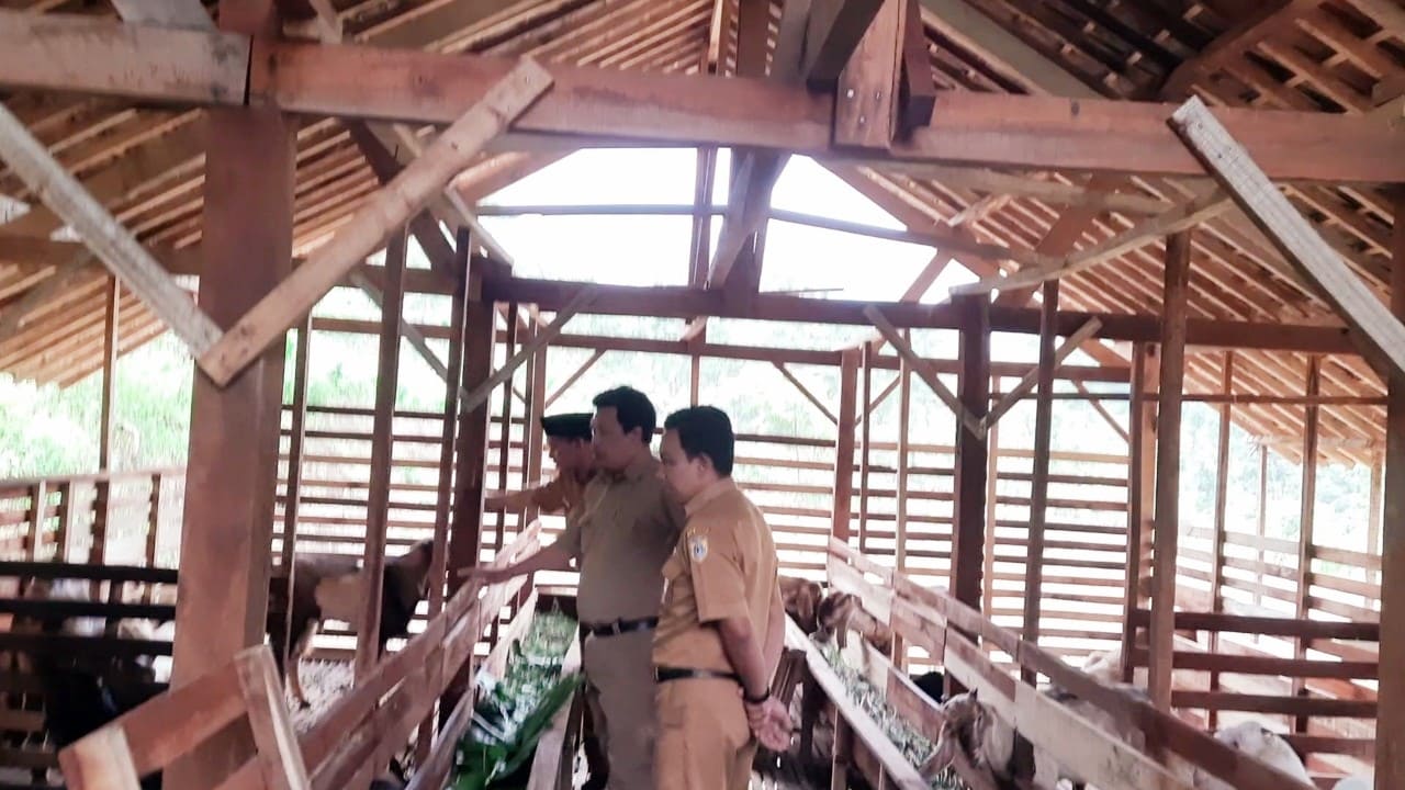 Tim Kecamatan Tonjong tinjau kandang kambing milik BUMDes Karya Mandiri Rajawetan. (Foto: Portal Pantura/Y Prasetyo)