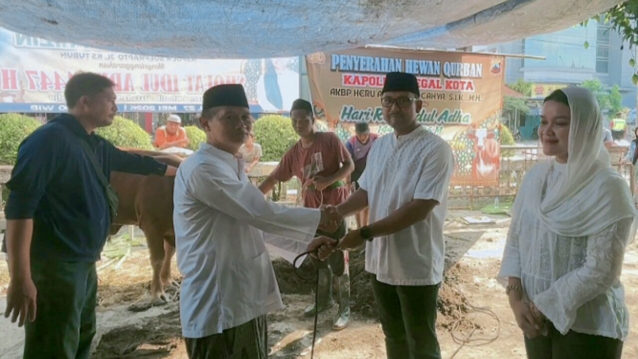 Polres Tegal Kota Salurkan 2 Sapi dan 11 Kambing Qurban Usai Salat Idul Adha