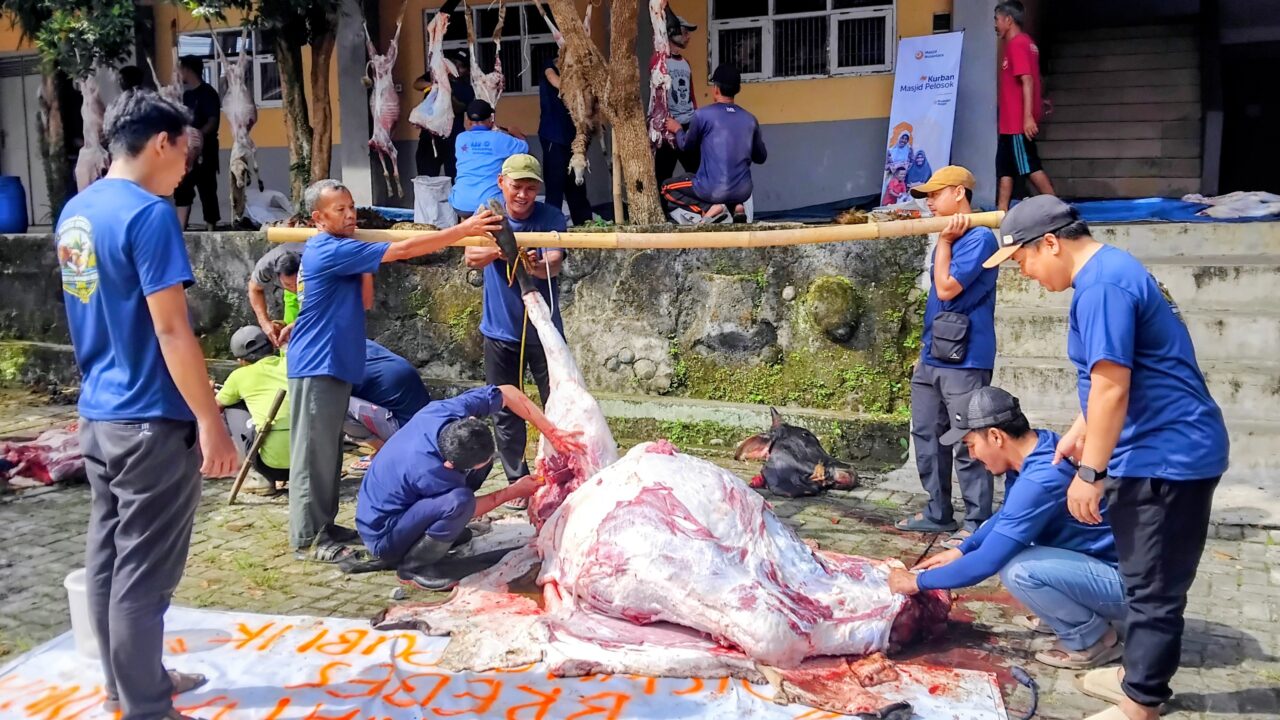 UMBS Gelar Penyembelihan Hewan Kurban 1447 H, Terima Bantuan Sapi dari Menteri KKP RI