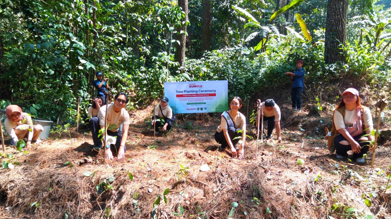 Sharp Indonesia Tanam 600 Pohon Rasamala, Selamatkan Habitat Elang Jawa di Bogor