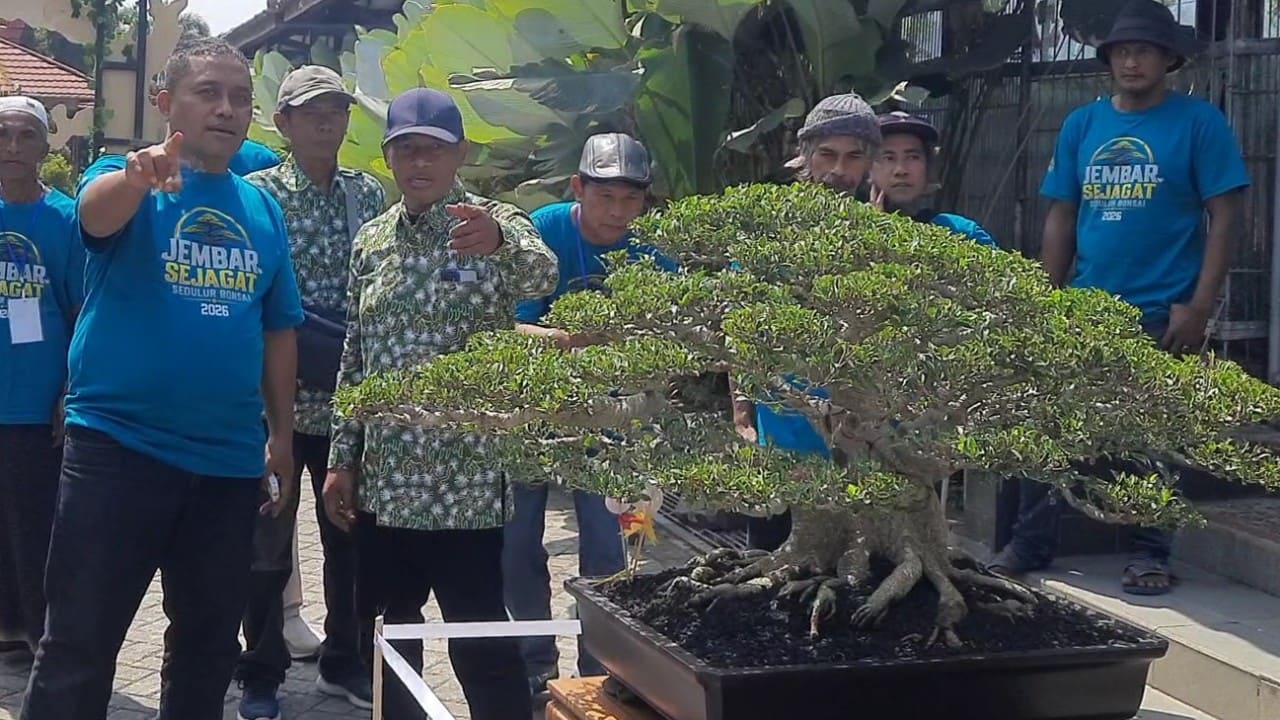 Ketua PPBI Brebes Zaki Safrudin Prihatin bersama pengurus KBBS , serta anggata DPRD Brebes Ade Apriyanto saat meninjau deretan pohon dalam pameran bonsai di Sahabat Alam Bumiayu, Brebes, Sabtu (18/7/2026). (Foto: Portal Pantura/Yudhi Prasetyo.)