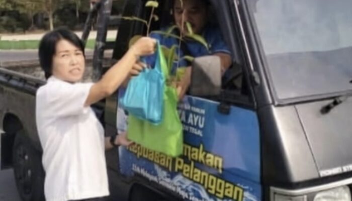 Perhutani KPH Pekalongan Barat, Dari Bibit Kecil Tumbuh Harapan untuk Lingkungan