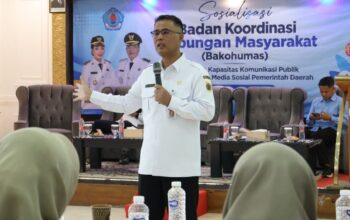 Info Pemda