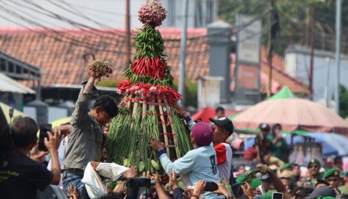 Mengenal Lebih Dekat Bawang Merah Brebes Festival 2026: Dari Tradisi Sedekah Bumi hingga Ekspor