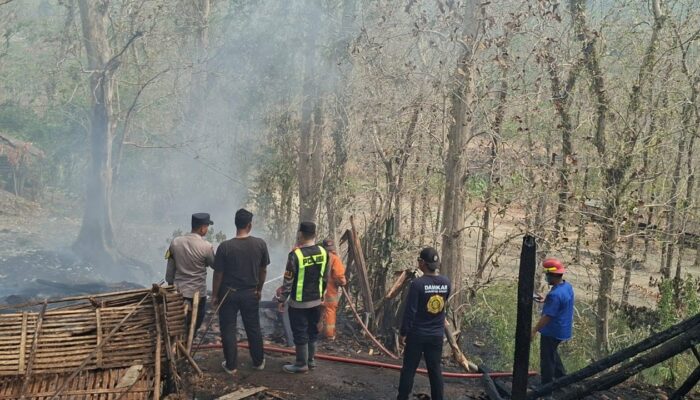 Kebakaran Kandang Kambing di Kutamendala Brebes, Pemilik Rugi Jutaan Rupiah