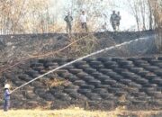 5 Hektare Lahan Kosong di Songgom Brebes Terbakar