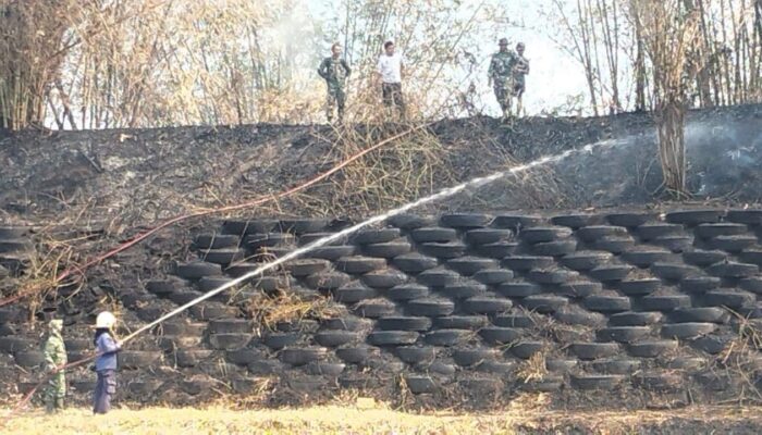 5 Hektare Lahan Kosong di Songgom Brebes Terbakar