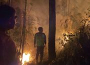 Kebakaran Hutan di Bantarkawung Brebes Padam dalam 30 Menit Berkat Aksi Cepat Warga dan Polisi