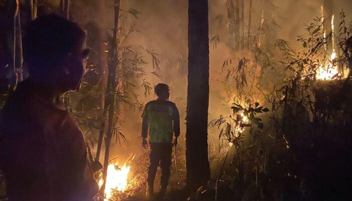Kebakaran Hutan di Bantarkawung Brebes Padam dalam 30 Menit Berkat Aksi Cepat Warga dan Polisi