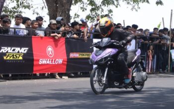 Info Pemda