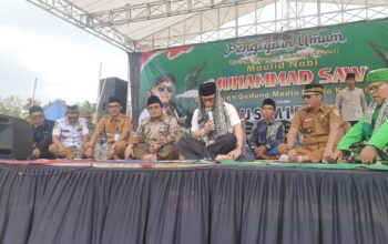 Suara Wakil Rakyat