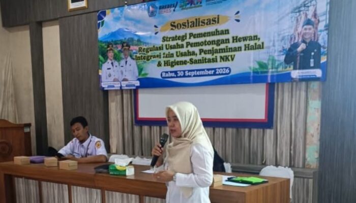 Pemkab Brebes Perkuat Standar Pemotongan Hewan Demi Daging Aman dan Halal