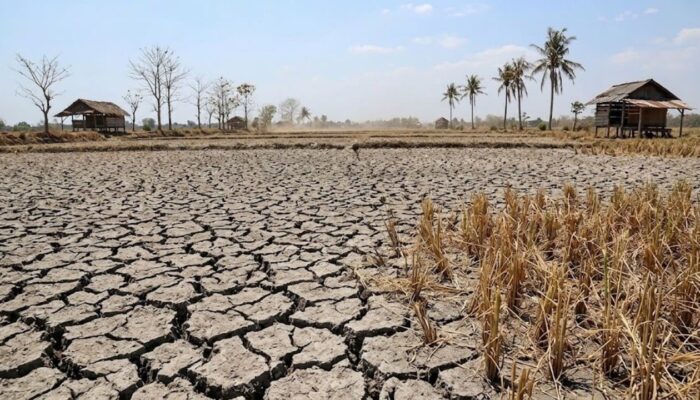Waspada Kemarau Panjang, Pahami Apa Itu Fenomena Alam El Nino