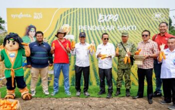 Info Pemda